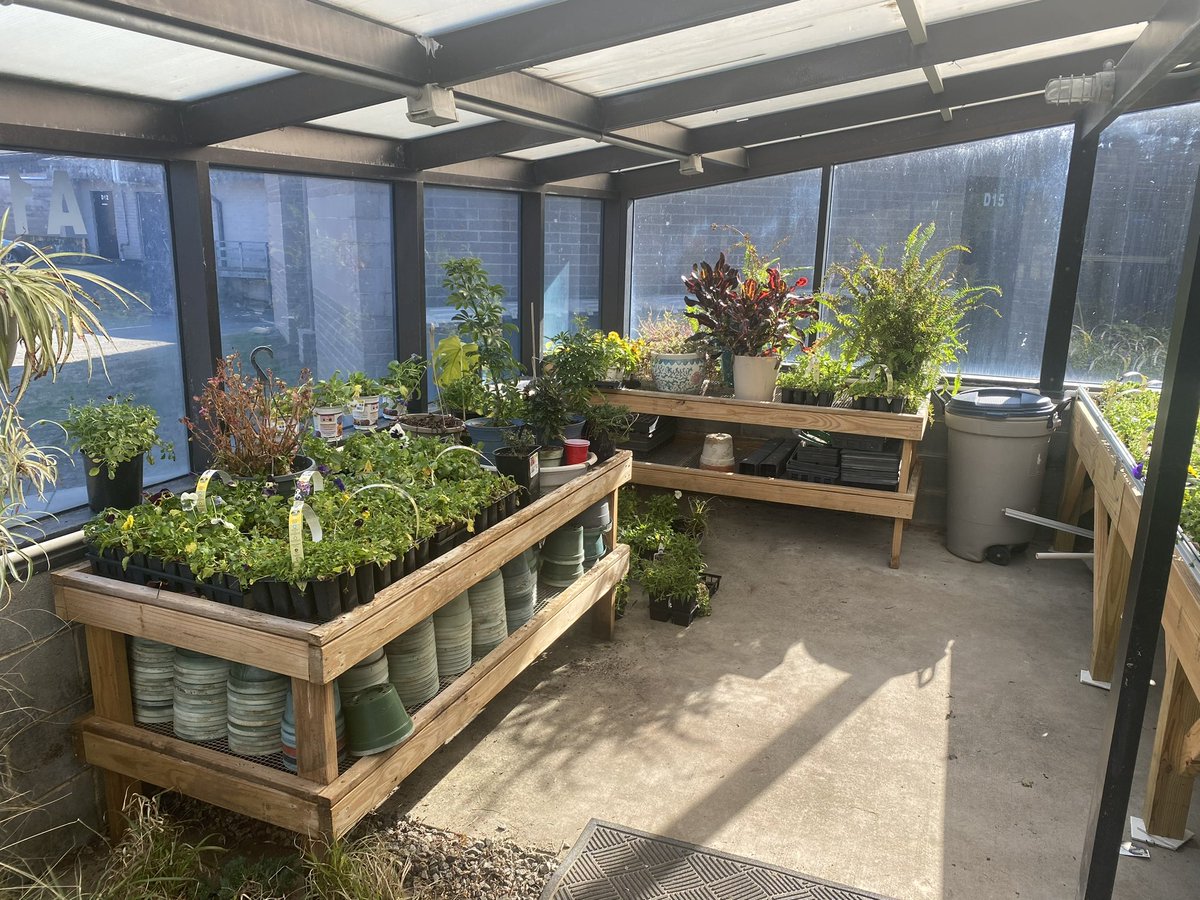 Thank you to Lowe’s in York, South Carolina and their amazing staff for donating over $3,000 worth of plants to NCMS! Our very own Mr. Hailey worked with them to help jumpstart our school garden club and argicultural program. 🧡🖤 <a href="/CabCoSchools/">Cabarrus Co. Schools</a> <a href="/Lowes/">Lowe's</a> <a href="/LowesMedia/">Lowe's Media</a>