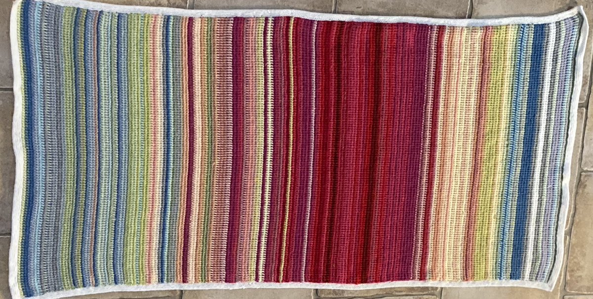 Prof Elizabeth Tingle 🐢 tweet media