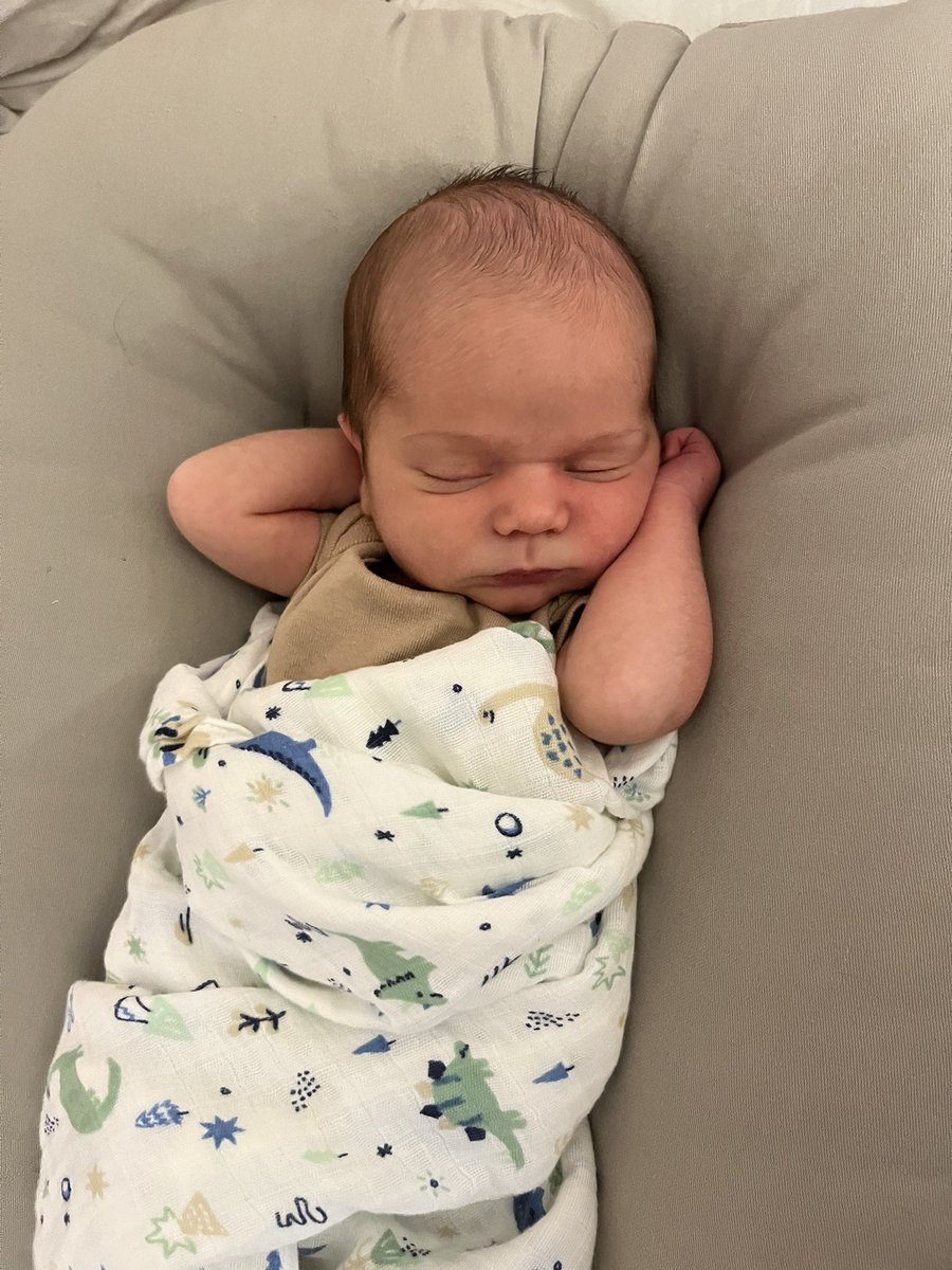 Annabelle Everett tweet media