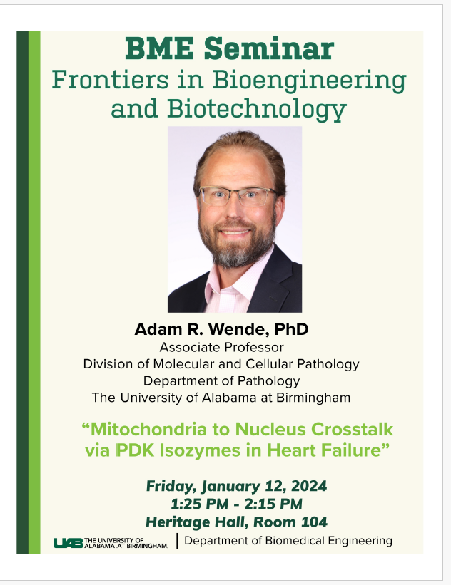 Join us @ 1:25 in HHB 104 this Friday, January 12, to hear @UABPathology's Dr. @AdamWende deliver the @uabbme Frontiers in Bioengineering and Biotechnology lecture, titled, 'Mitochondria to Nucleus Crosstalk via PDK Isozymes in Heart Failure.'