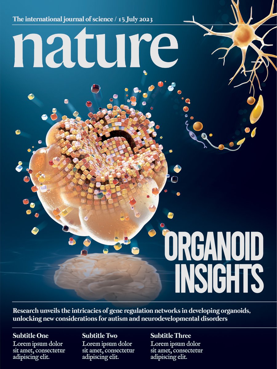 mark belan | science illustrator + info designer tweet media