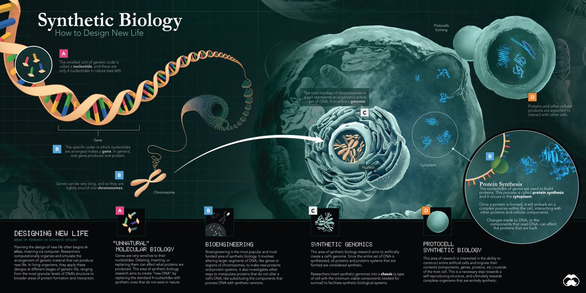 mark belan | science illustrator + info designer tweet media