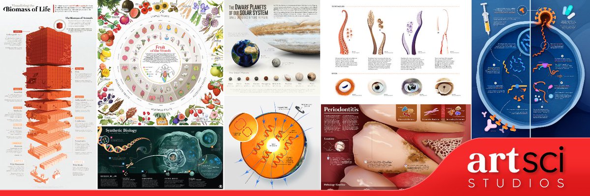 mark belan | science illustrator + info designer tweet media