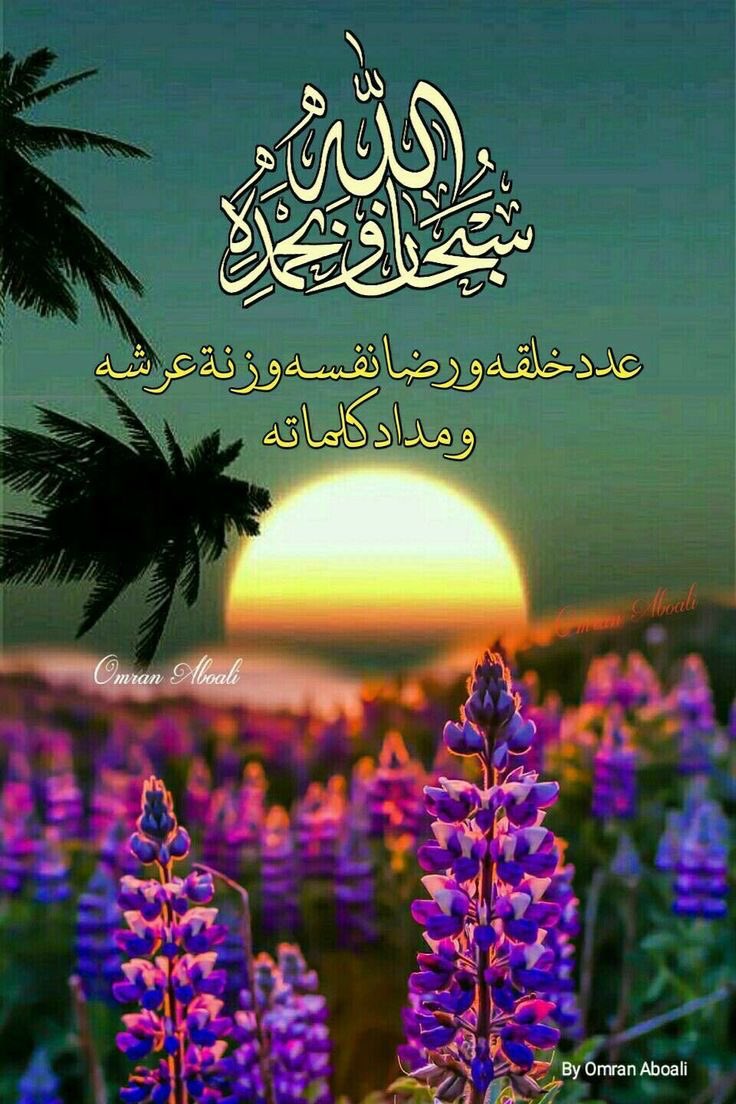 merah (@merah75653032) on Twitter photo 