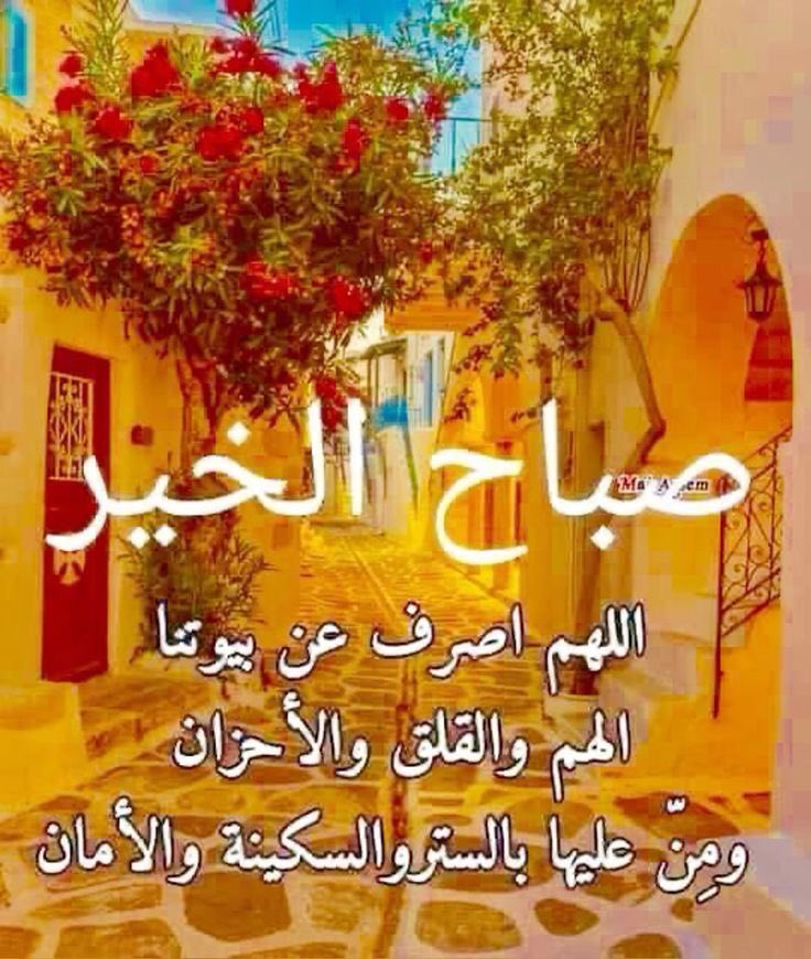 merah (@merah75653032) on Twitter photo 