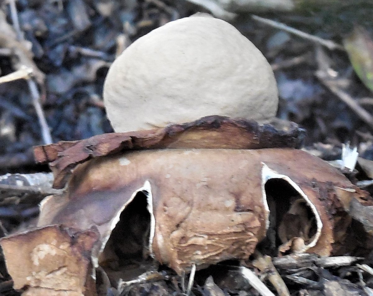 ian (@vappuk) on Twitter photo 