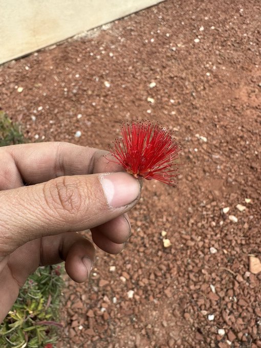 Different, cool. https://t.co/w0tCBDZ1E8<a href="/tag/mvsales"class="tags"><span>#mvsales</span></a>