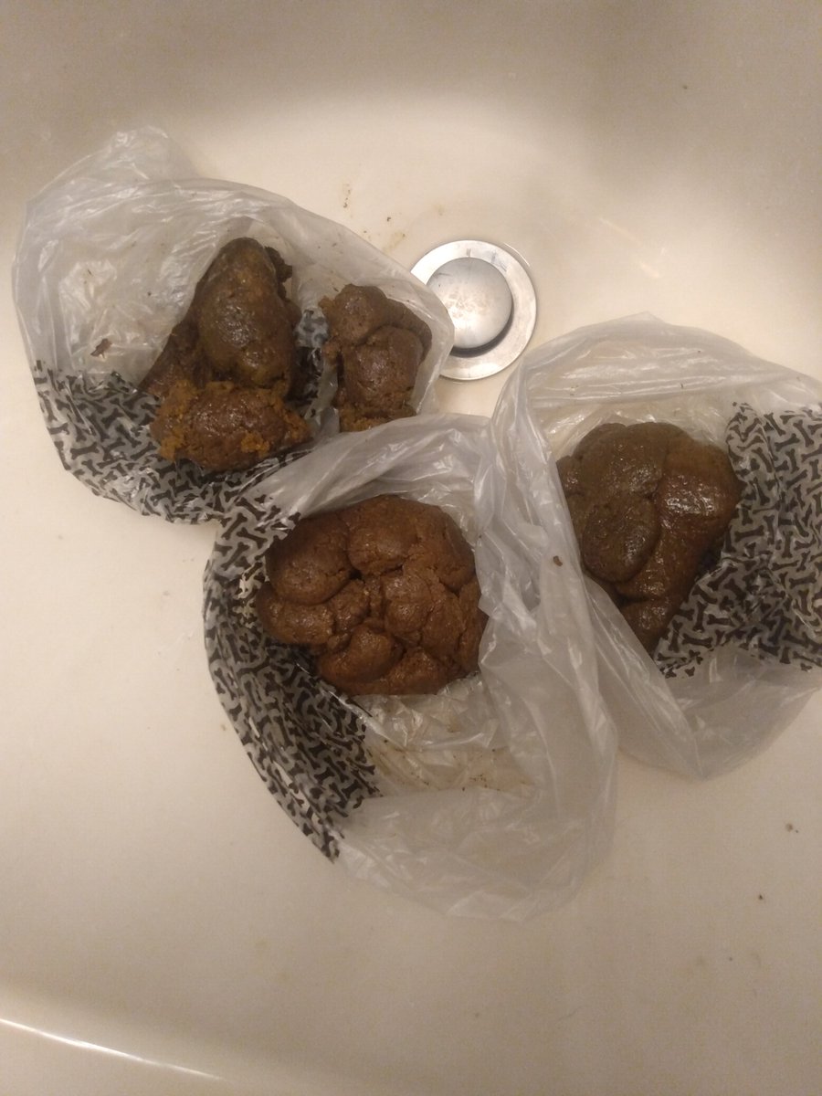 Who wants to play dog poop with me?♥️💩