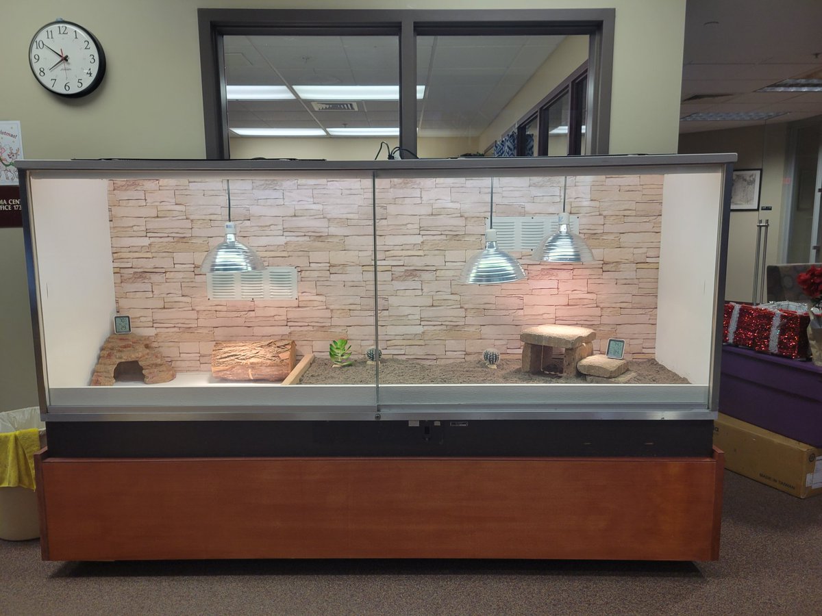 ALHS Media Center (@alhsmediacenter) on Twitter photo Happy New Year! Please stop by and welcome back Rango in his new habitat. Thank you ALCSF for supporting Ross's Reps, Scott Herrick, and Andrew Repasy for designing, updating, and remodeling the new habitat.
<a href="/FoundationAlcs/">ALCSFoundation</a>
<a href="/AvonLakeSchools/">Avon Lake Schools</a> <a href="/ALHSGuidance/">ALHS Counselors</a> @MMay_ALHS Happy New Year! Please stop by and welcome back Rango in his new habitat. Thank you ALCSF for supporting Ross's Reps, Scott Herrick, and Andrew Repasy for designing, updating, and remodeling the new habitat.
<a href="/FoundationAlcs/">ALCSFoundation</a>
<a href="/AvonLakeSchools/">Avon Lake Schools</a> <a href="/ALHSGuidance/">ALHS Counselors</a> @MMay_ALHS