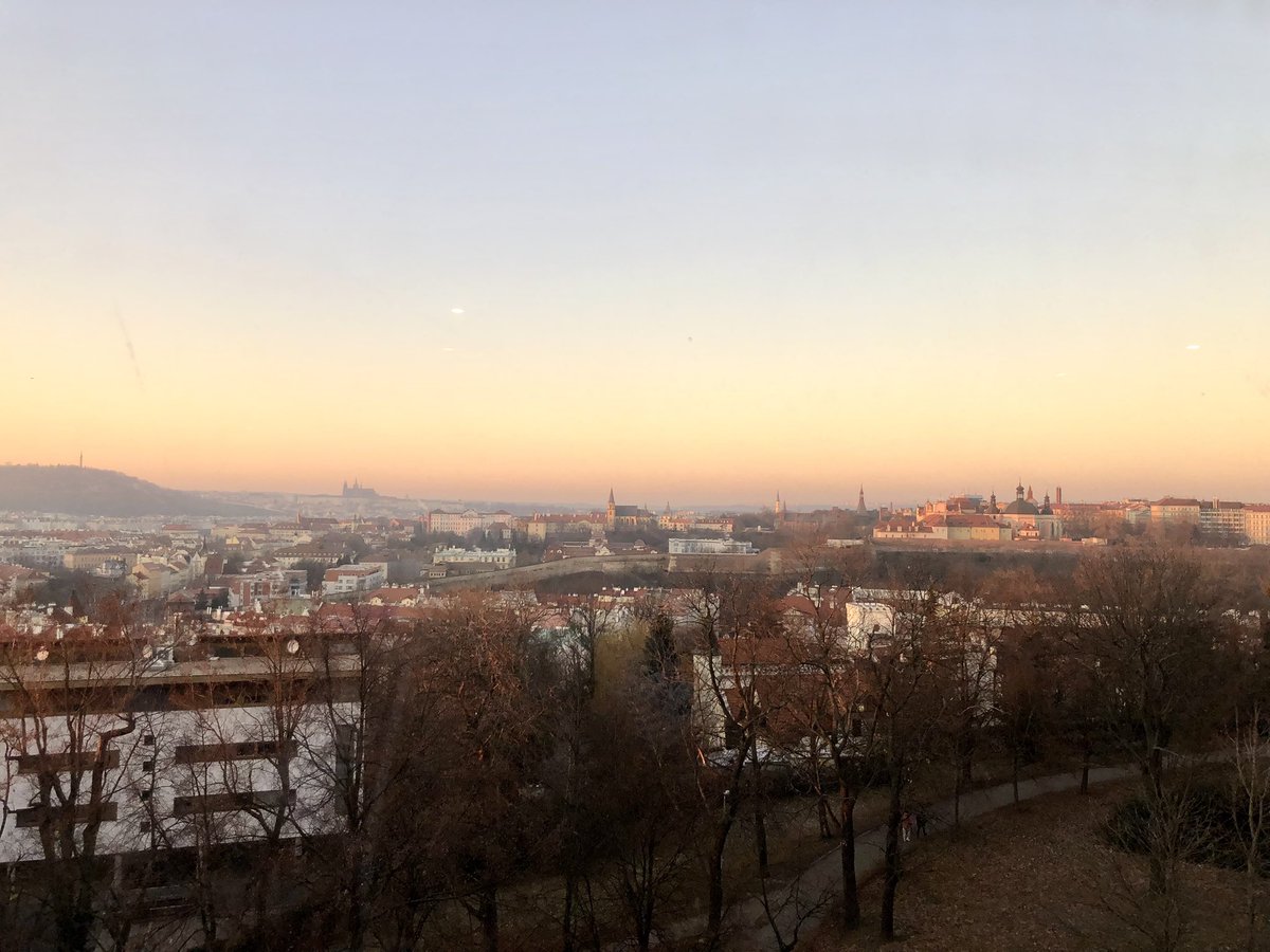 Lotta Schultz tweet media