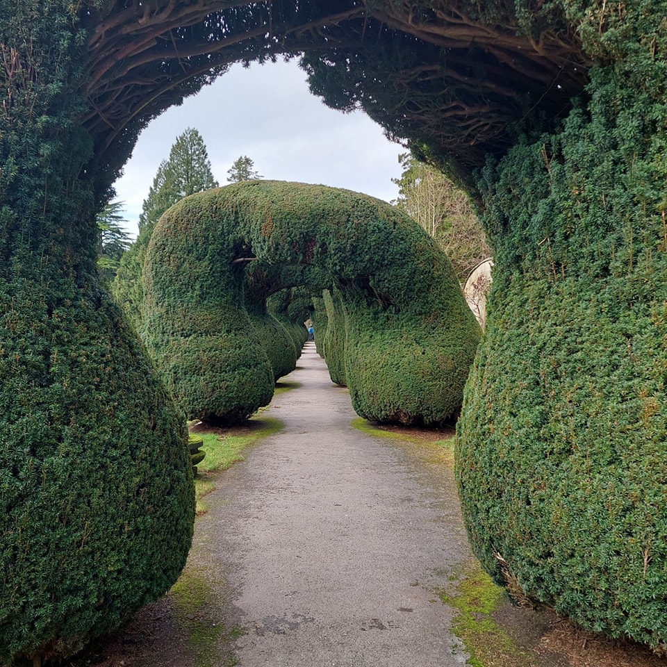 coastingjoneses's tweet photo. In our latest vlog we go on a wander around @altontowers Gardens during the Christmas event. https://t.co/6x8xFfhstN
.
.
.
#daysout #coasterenthusiasts #themepark #themeparkenthusiast #merlinpassholder #altontowers #merlinpass #altontowersresort #youtube #altontowerschristmas https://t.co/xM3MCdx18e