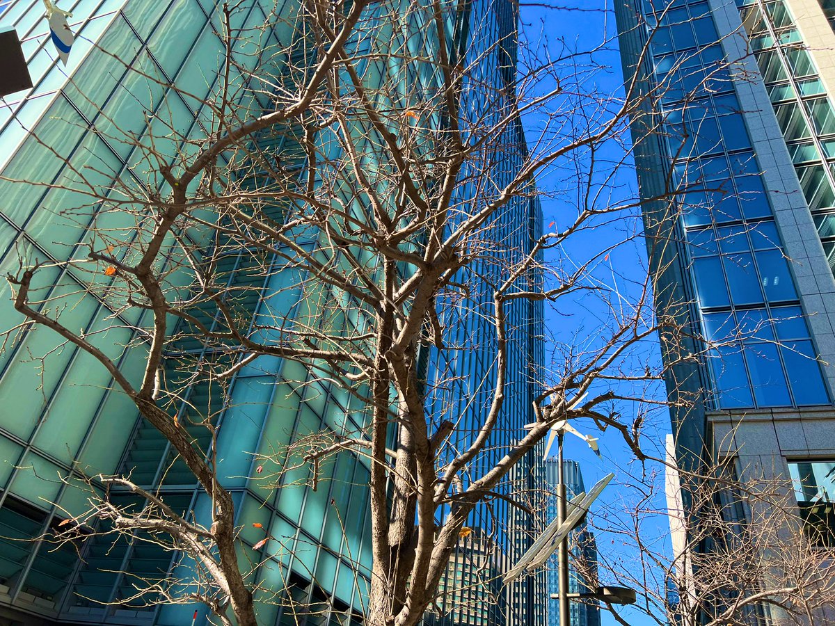 umozc's tweet image. お正月もそろそろ終わりだね