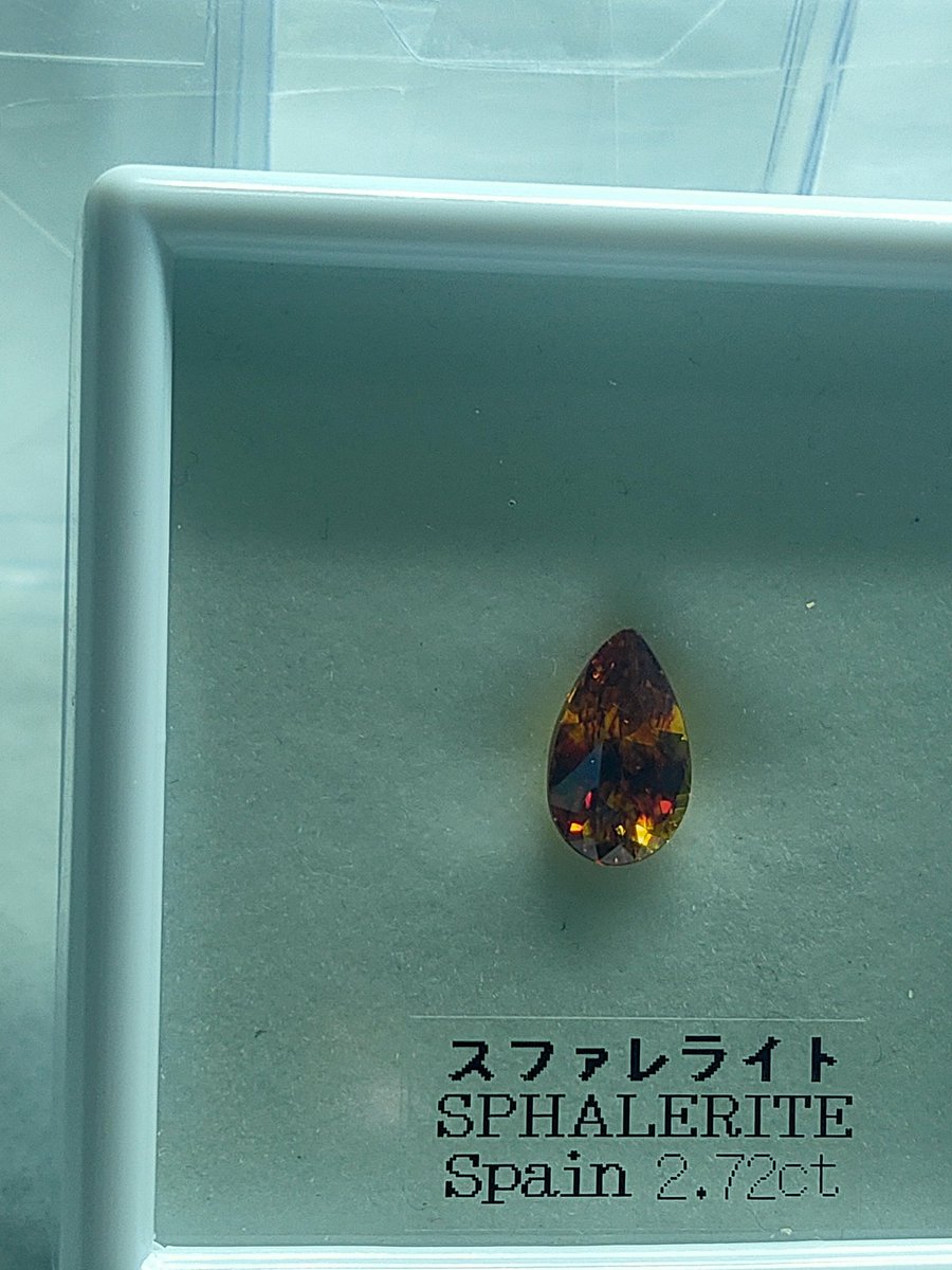 メグラー(巡回鳥) tweet media