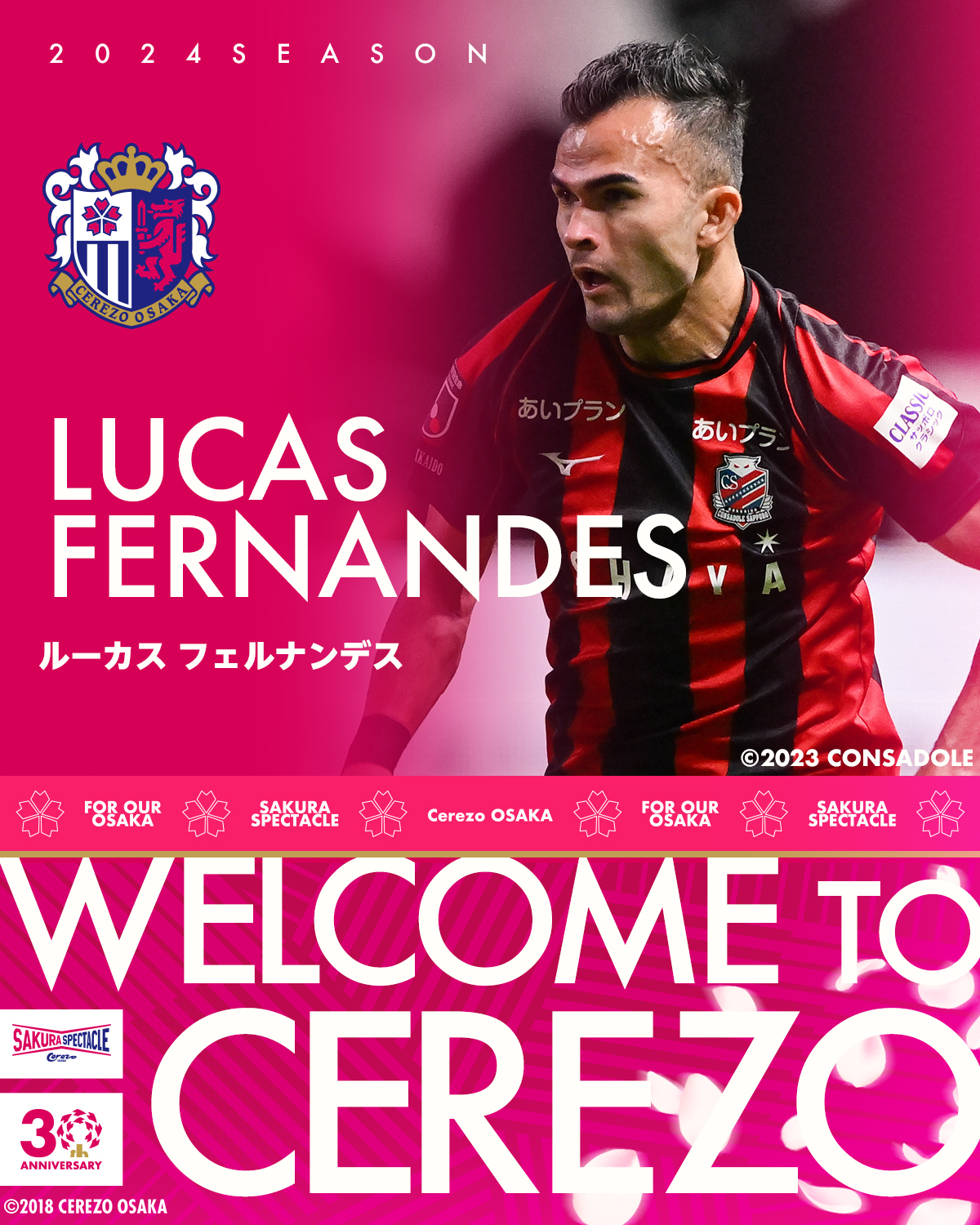 セレッソ大阪 オンサイトカード ルーカスフェルナンデス選手 公式