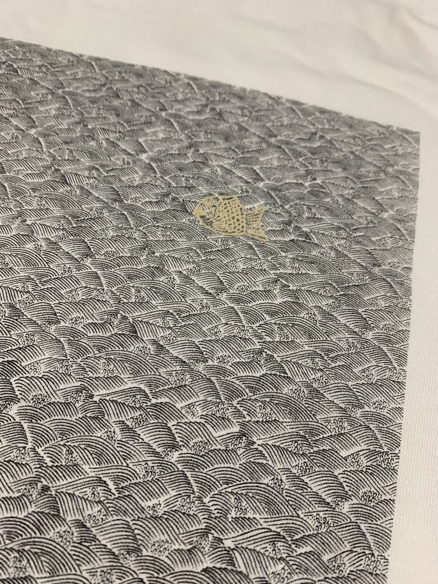 Fishandlifetko's tweet photo. #fishandlife #komon https://t.co/C65oucasmq