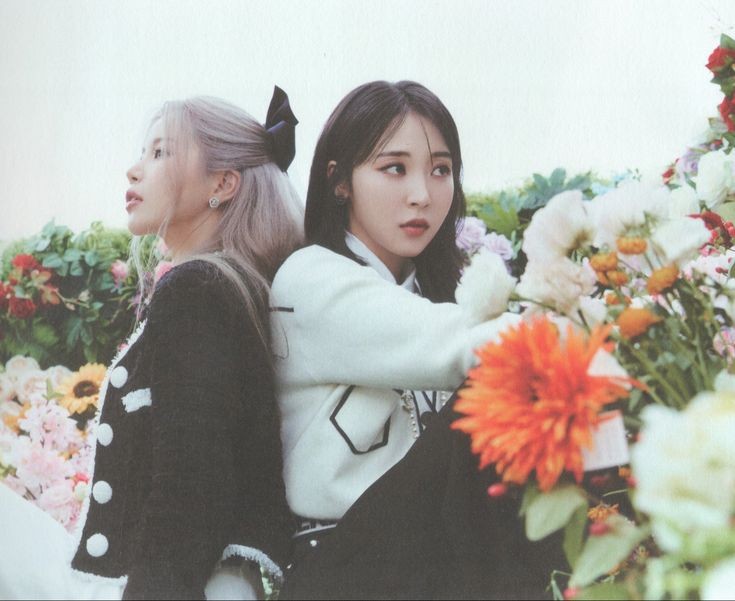 MoonSun Brasil ⁴ tweet media