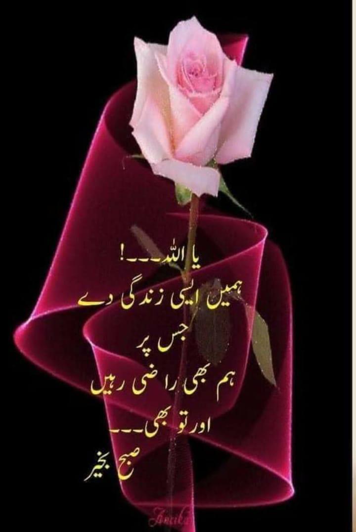 Subha bakhiar
Aslam o alekum
#atifkhan
#BitcoinETF
#maldivesboycott
#افران_الحطب
#قاضی_ننگا_ہے