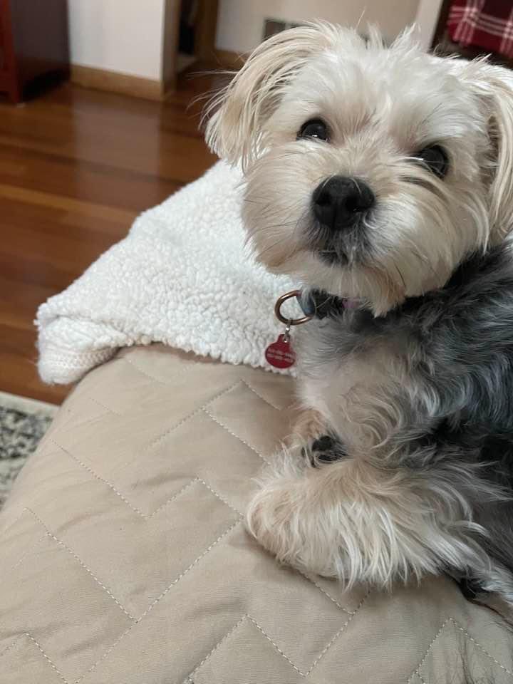 The Geekster tweet media