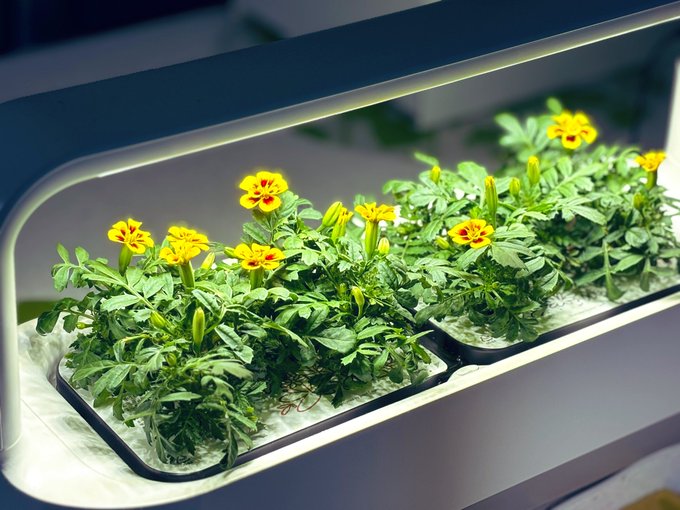 존 버거가 그랬다. 
사람은 시각을 통해 스스로의 좌표를 확인한다고., 보이는 것과 보는 존재가 만나 관계를 이루어 내듯_ 시각은 보는 사람의 존재를 확인해 주는 가시적인 것과 그 사람의 존재를 무시하는 비가시적인 것으로 구성된다.