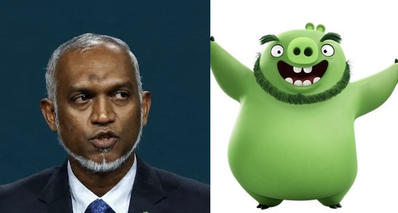 shekharbhujbal8's tweet photo. ЁЯдл #Maldeves #Boycott_Maldives #Maldives #Muizzu @MMuizzu @visitmaldives https://t.co/ZbYunqzBG6