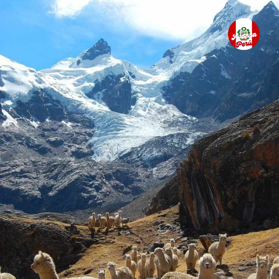 julioayala1965's tweet image. El Apu Ausangate alcanza una altitud de 6.384 metros y es la quinta montaña más alta de Perú. 
#peru🇵🇪 #Cusco #paisajesperu #culturaperu #goperu #goodvibes #greatday #adventure #amazing #history #naturephotography #culturephotography