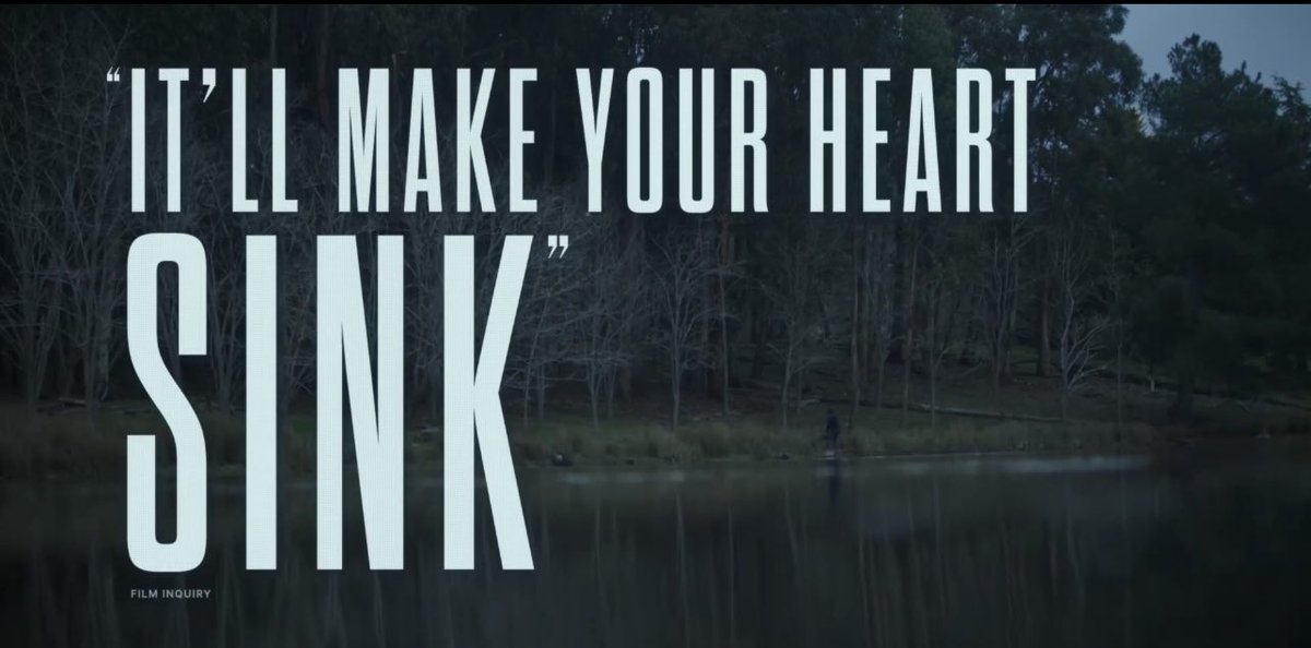 Lily Sullivan tweet media