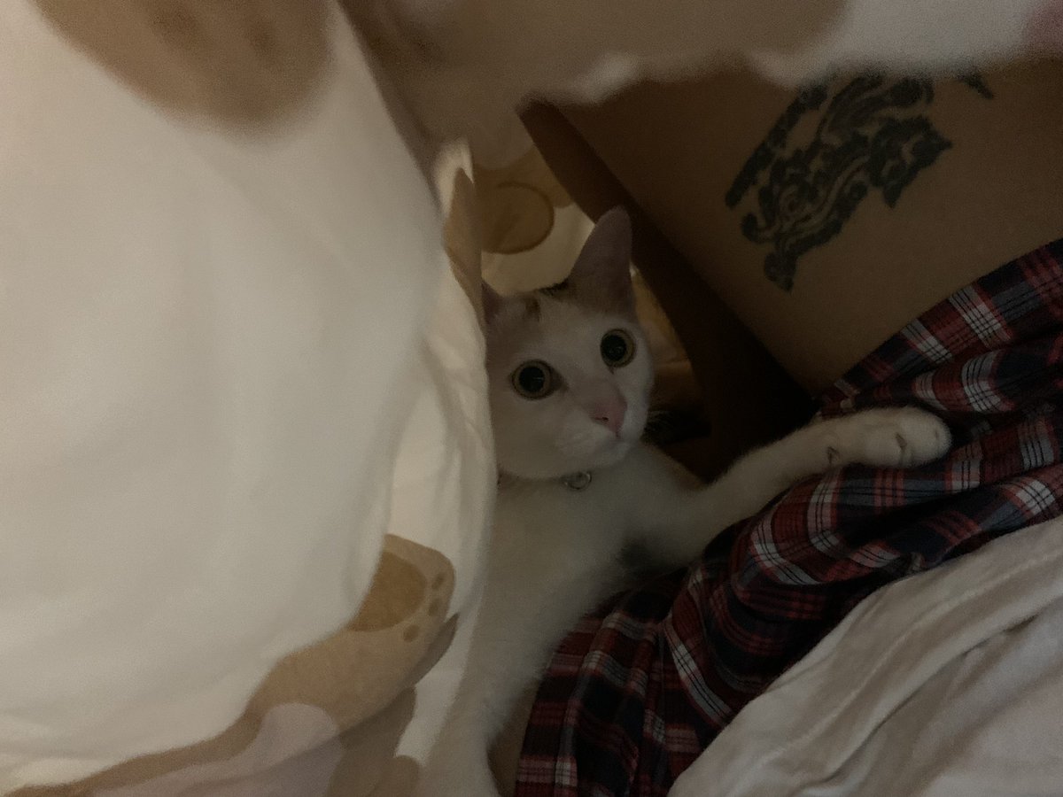 ไปนอนอะไรตรงนั๊น!!!! #จันทบุรี