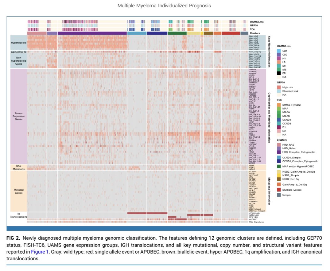Genomic Classification and Individualized Prognosis in Multiple Myeloma #mmsm @FrancescoMaura4 @DrOlaLandgren @JCO_ASCO ascopubs.org/doi/10.1200/JC… Individualized risk in NDMM (IRMMa) model Nice work building on GEP (UAMS) and current risk systems