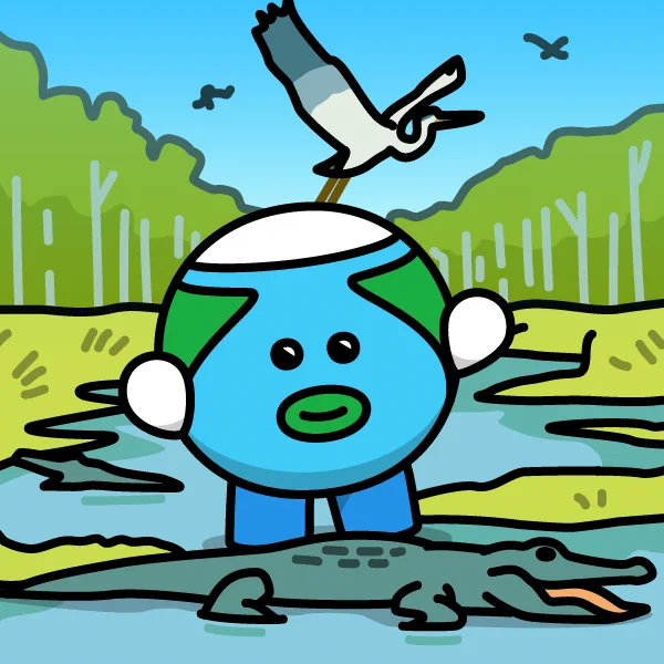 【エヴァグレーズ国立公園】 アメリカ・フロリダ州。沼地や湿地、草原、マングローブが広がる約61万ヘクタールの敷地に、約1000種の植物と約700種の動物が共存する。その中には、マナティ、クロコダイル、ほとんど姿を現さないフロリダパンサーなど、希少動物や絶滅危惧種も含まれる #今日の世界遺産
