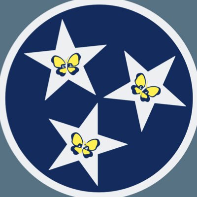 Walkin’ In Memphis: Down Syndrome Awareness Walk tweet media