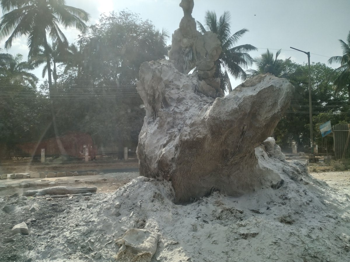 Tens of thousands of trees in Indian cities have been cut, sending temperatures soaring, worsening air quality &amp; destroying heritage &amp; biodiversity. Only citizens can now stem the destruction, write <a href="/HariniNagendra/">Harini Nagendra</a> &amp; <a href="/MundoliSeema/">Seema Mundoli</a>

article-14.com/post/citizen-m…