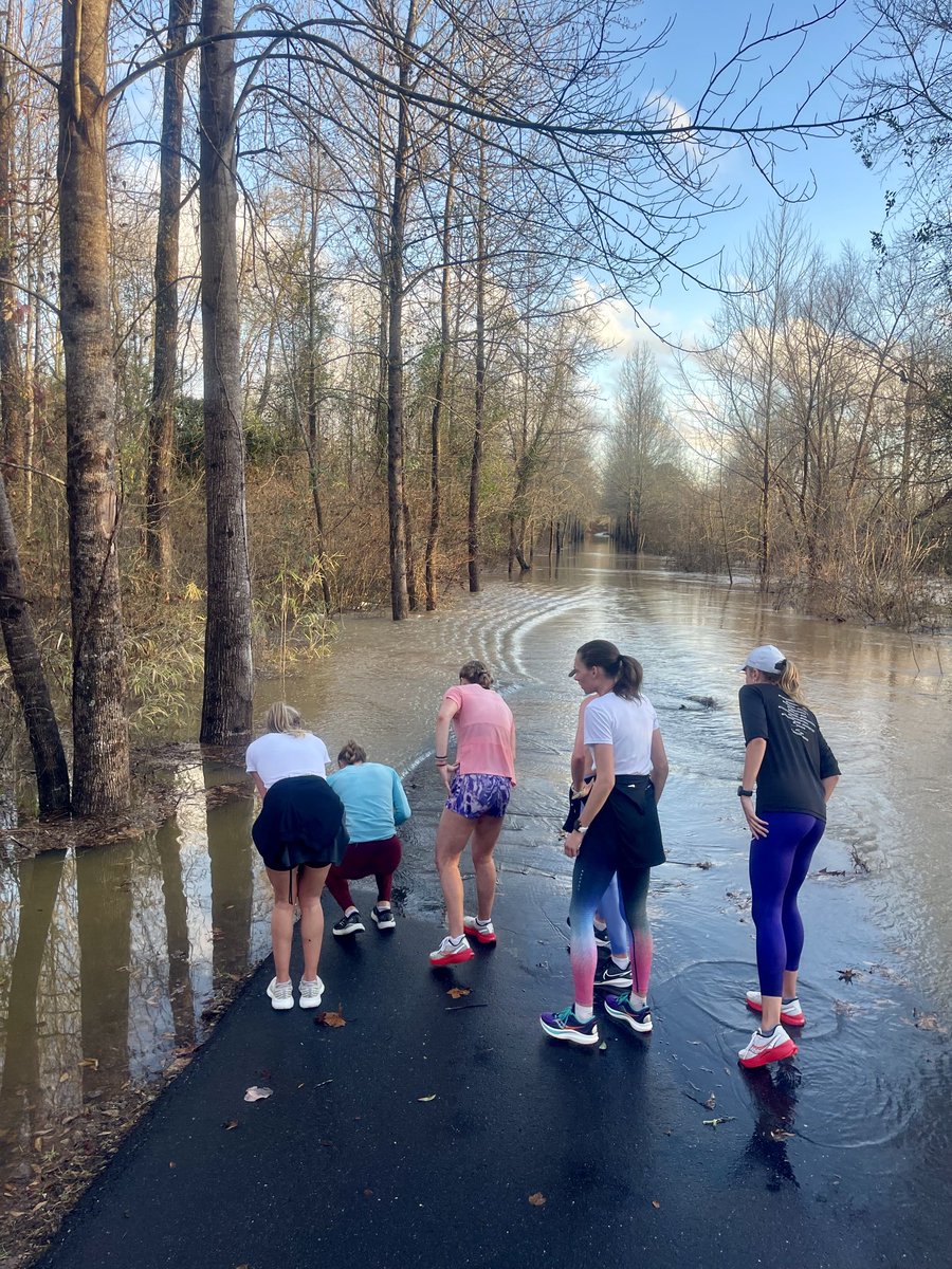 RGary2's tweet photo. When the Swamp Rabbit Trail *becomes* a SWAMP Rabbit Trail and the Girl Gang finds a swimming critter to befriend…
#workoutproblems #girlgang #Furman #winterstorm #yeahTHATgreenville https://t.co/x3XlmHrvTs