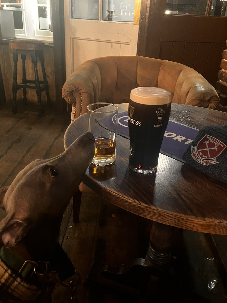 Rickster78Ricky's tweet photo. Not posted for a long long time but here’s a thirsty Doug after we’ve called into a halfway house on a cold night 🍺 🥃 https://t.co/79JLSgVU5Y