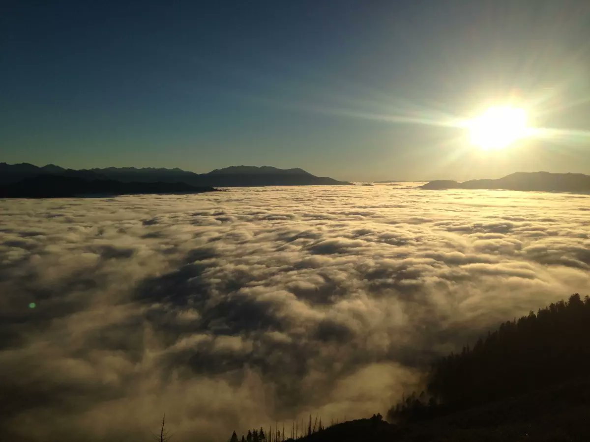 “Learning how to be still, to really be still and let life happen - that stillness becomes a radiance.” -Morgan Freeman

The Arcata Fish and Wildlife Office in CA work spans the beautiful towering redwoods of northwestern CA, the foggy shores of the Pacific and the Klamath River.