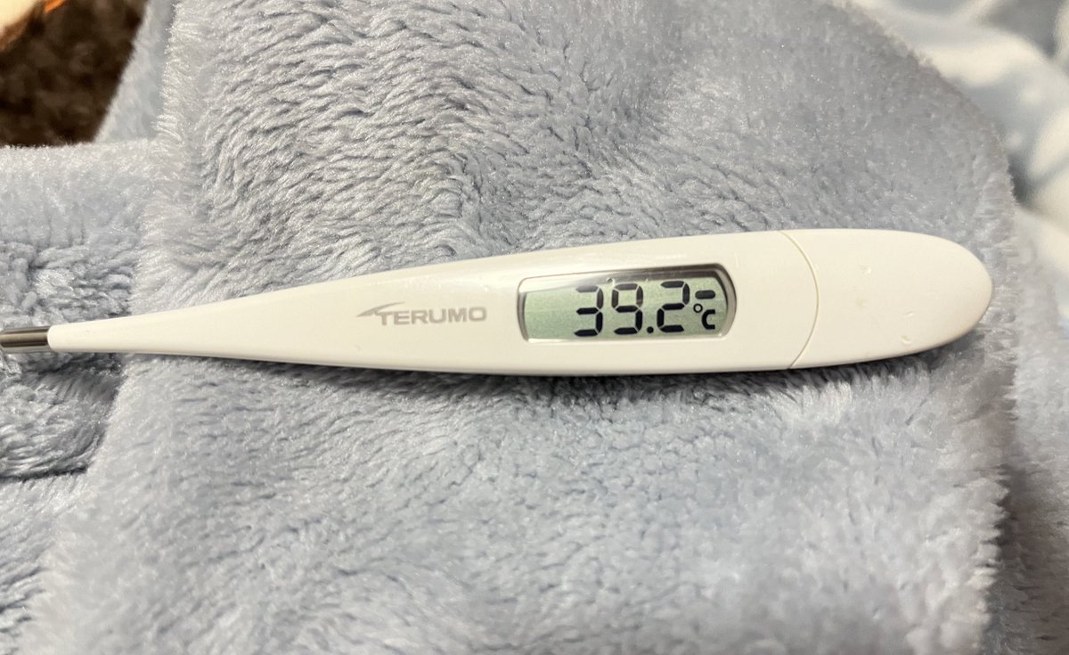 kity_Hiroko's tweet photo. 日曜日から39℃超える熱が出た。ロキソニンがきれると熱が上がる。
入院になりそうだから病院に行きたくなかったけど…
菌血症やカテ感染だったらヤバいから病院に行った。
やっぱり入院になった！先月も入院して、また今月も入院。
仕事もめっちゃ忙しいのに…
もー最悪！
#尿路感染
#腎盂腎炎 https://t.co/kYKM3QfDVu