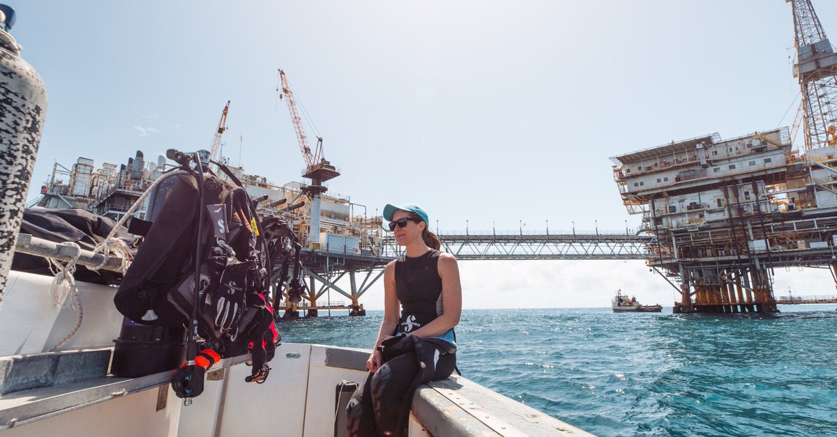 Microsoft's tweet photo. Beneath the surface of abandoned oil rigs, a robust underwater ecosystem thrives. 🪸 

Discover how Blue Latitudes uses PowerPoint to tell the story of industry and environment uniting to protect our oceans: https://t.co/xe6FBcskc1