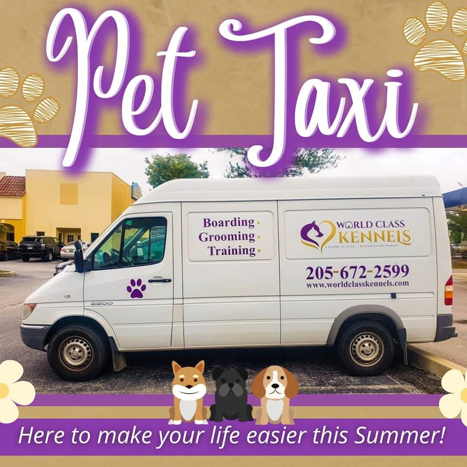 WCK35078's tweet photo. Our pet taxi was made to make your busy life easier! Visit our website to learn more about how our pet taxi can help you!

#chelseaal #Alabama #invernessal #mountainbrookal #HighlandLakes #HelenaAL #ForestOaks #hooveral https://t.co/UVJ40ztsOY