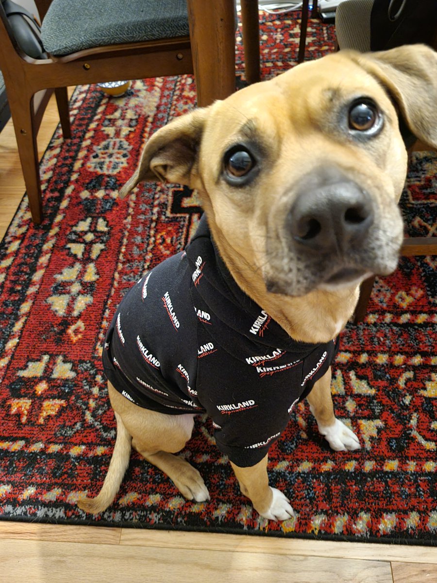Stephanie Hall, PhD tweet media