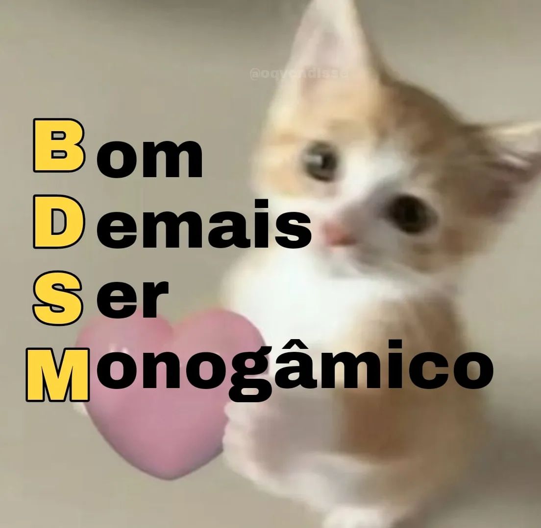 perfil dedicado a gatinhos e peitos (@odeiootaco) on Twitter photo 