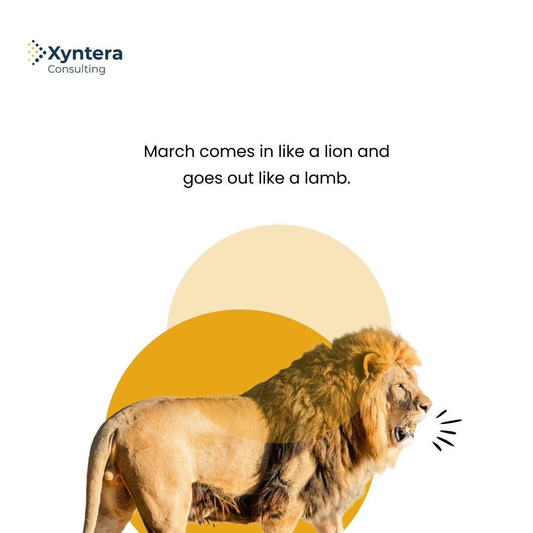 xyntera's tweet photo. March is making its entrance with a roar, bringing in winds of change and possibilities. Embrace the journey as we await the gentler days ahead. 🌬️🦁🌼 #MarchJourney #ChangeIsInTheAir #xyntera #SEC https://t.co/IqkRa0BFAK