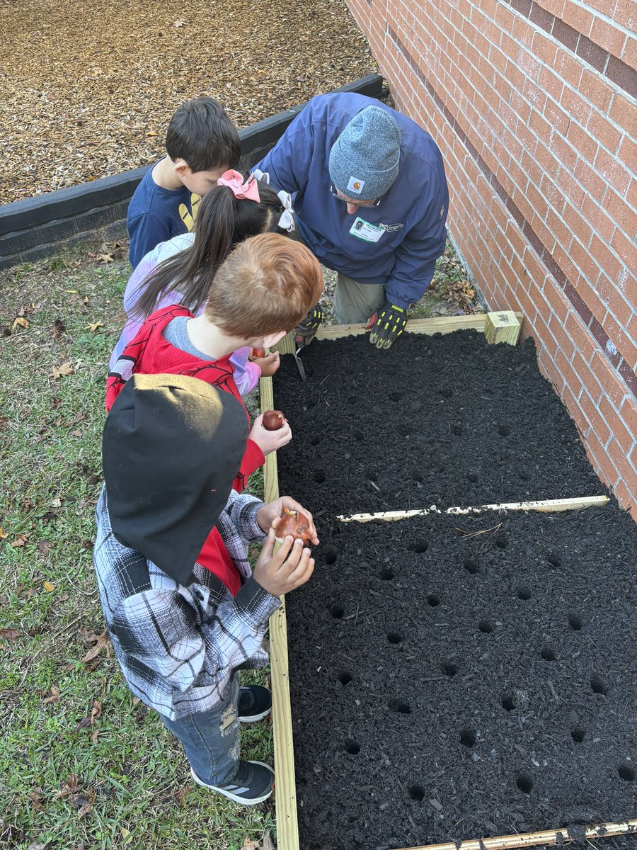MissMurski's tweet photo. We planted tulips today! Thank you OFE Growers for your help🌷we are so excited to watch them grow! @HumbleISD_OFE https://t.co/hPbM7kemPA