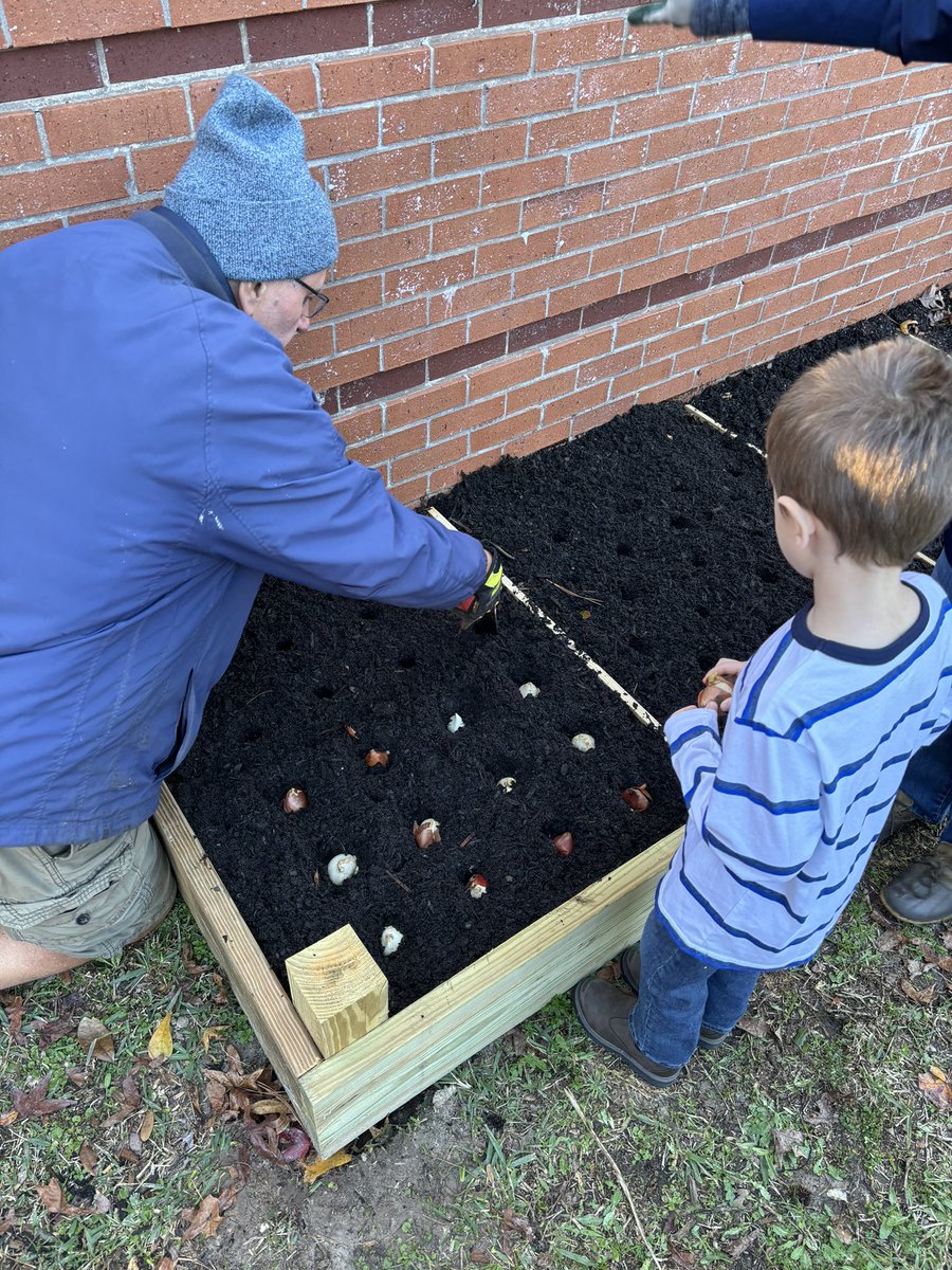 Kaleigh Murski (@missmurski) on Twitter photo We planted tulips today! Thank you OFE Growers for your help🌷we are so excited to watch them grow! <a href="/HumbleISD_OFE/">Oak Forest Elementary</a> We planted tulips today! Thank you OFE Growers for your help🌷we are so excited to watch them grow! <a href="/HumbleISD_OFE/">Oak Forest Elementary</a>