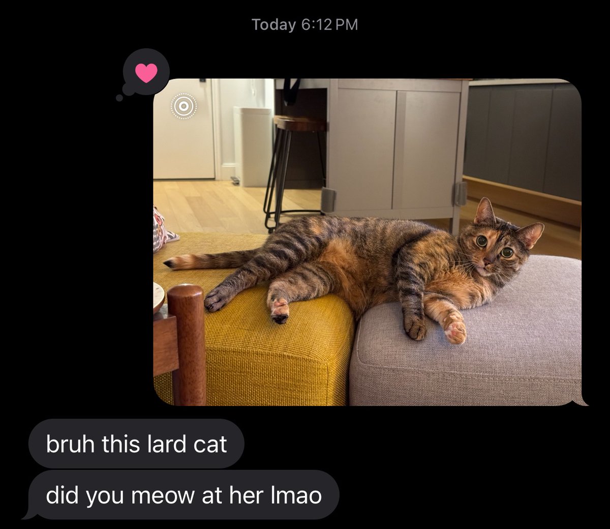 sent my brother a photo of our cat and forgot that Live Photos have audio