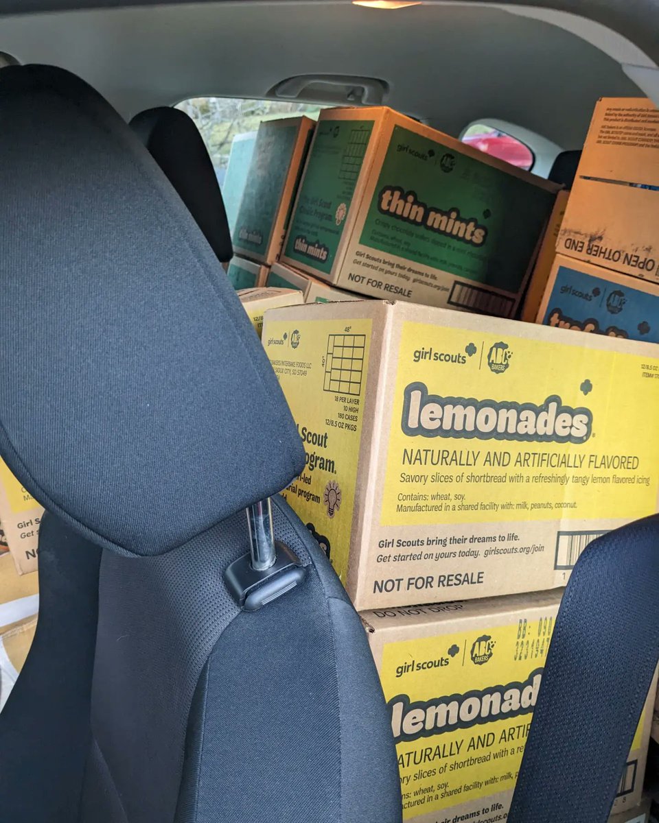 Taryn silverman tweet media