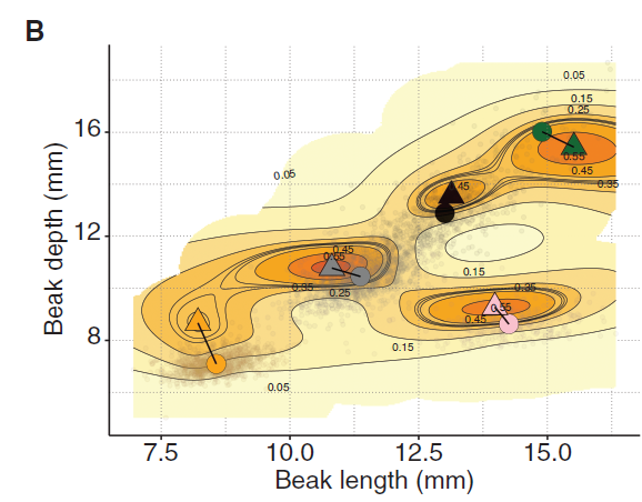 Study of Darwin's finches sheds light on how one species become many phys.org/news/2024-01-d… via <a href="/physorg_com/">Phys.org</a>