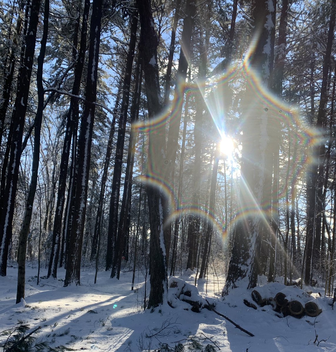 Megos777's tweet photo. Snow Day❄️♥️ https://t.co/1XM3AzrUgX