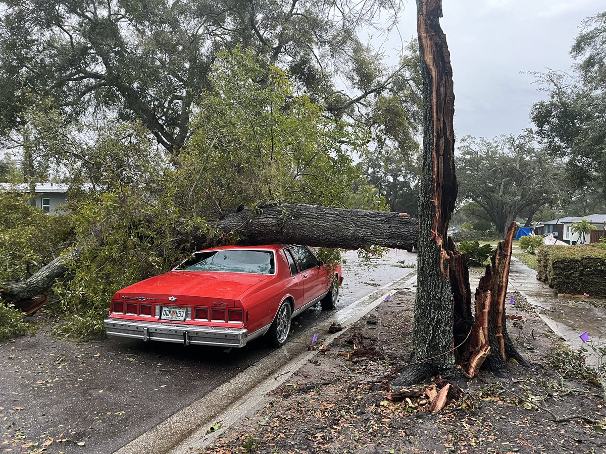 EvynMoon's tweet photo. Damage in Gulfport, FL after a crazy powerful but super quick system moved through this afternoon. Multiple tornado warnings are leading neighbors to believe that’s what it was. 
#tornado #gulfport @FOX13News https://t.co/ggLlOPEc4s