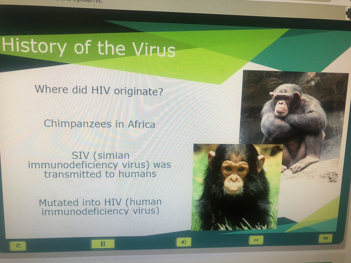 Taking another riveting training brought to you by PA DDAP. Should I clue the medical experts in the office in on the true facts about the origin of HIV?