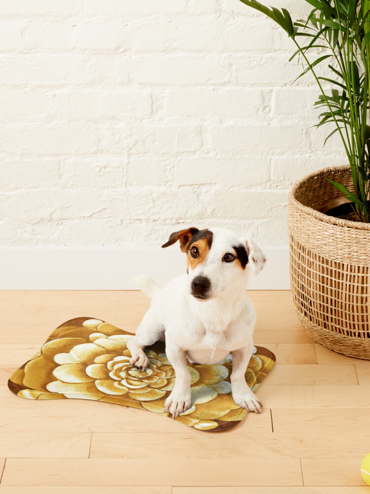jackbermess's tweet photo. Shimmering Gold Geometric Shapes: Elevate your products with this jaw-dropping design Pet Mat
https://t.co/lSZ3DAvaHr
#RedBubbles #design #golden #decor #homedecor #geometryforme #goldenflower #petmat #dogs https://t.co/m1cNntFCfG