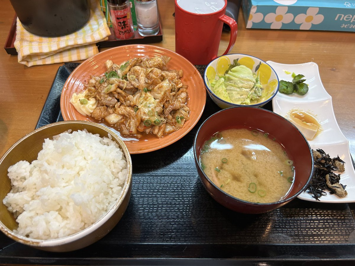 園田 陸 tweet media
